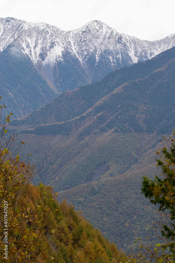 Fototapeta premium 紅葉と雪山