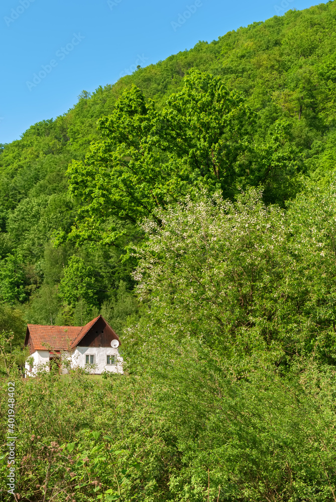 Traditional rural landscape in mountains. Carpathians, Ukraine. Traditional rural landscape in mountains. Carpathians, Ukraine.