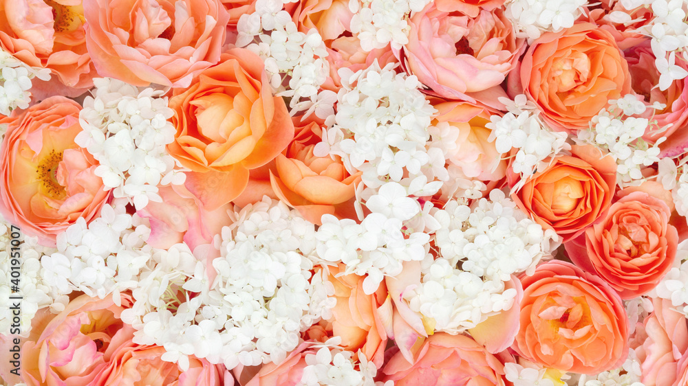 Solid texture with real rose and hydrangea flowers in orange hues. Botanical background for floral design templates with copy space. Solid texture with real rose and hydrangea flowers in orange hues. Botanical background for floral design templates with copy space.