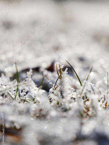 Frost an einem kalten Wintertag. © Pascal