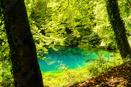 Fototapeta Naklejka Na Ścianę i Meble -  Beautiful view of the Blautopf, a colorful river head in the city of Blaubeuren, Germany surrounded by green plants and trees. The blue-turquoise is unique for this location.