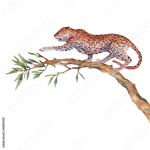Canvas Print Watercolor leopard illustration