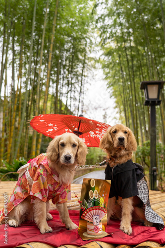 竹林の小径／ゴールデンレトニエル