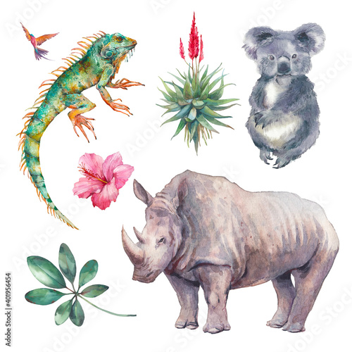 Canvas Print Tropical animals and plants