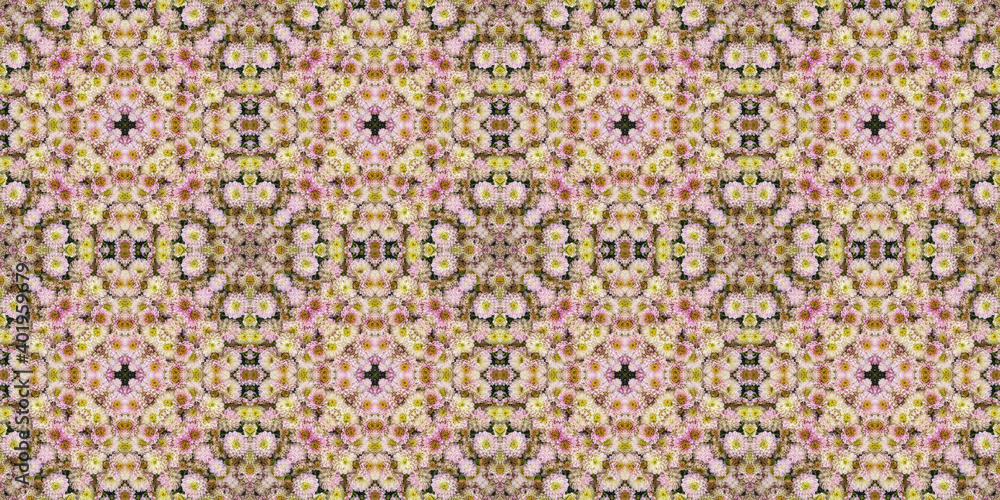 Pink and purple chrysanthemum flowers. Abstract floral background Pink and purple chrysanthemum flowers. Abstract floral background