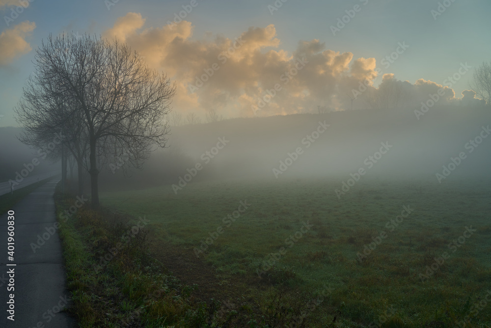 Obraz premium Foggy Morning Landscape and water