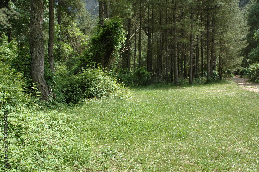 Obraz premium Paisaje fluvial rio mundo