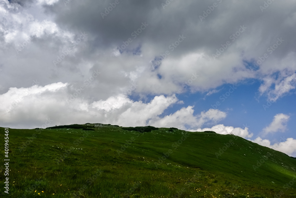 fresh green meadow while hiking on a mountain in the summer