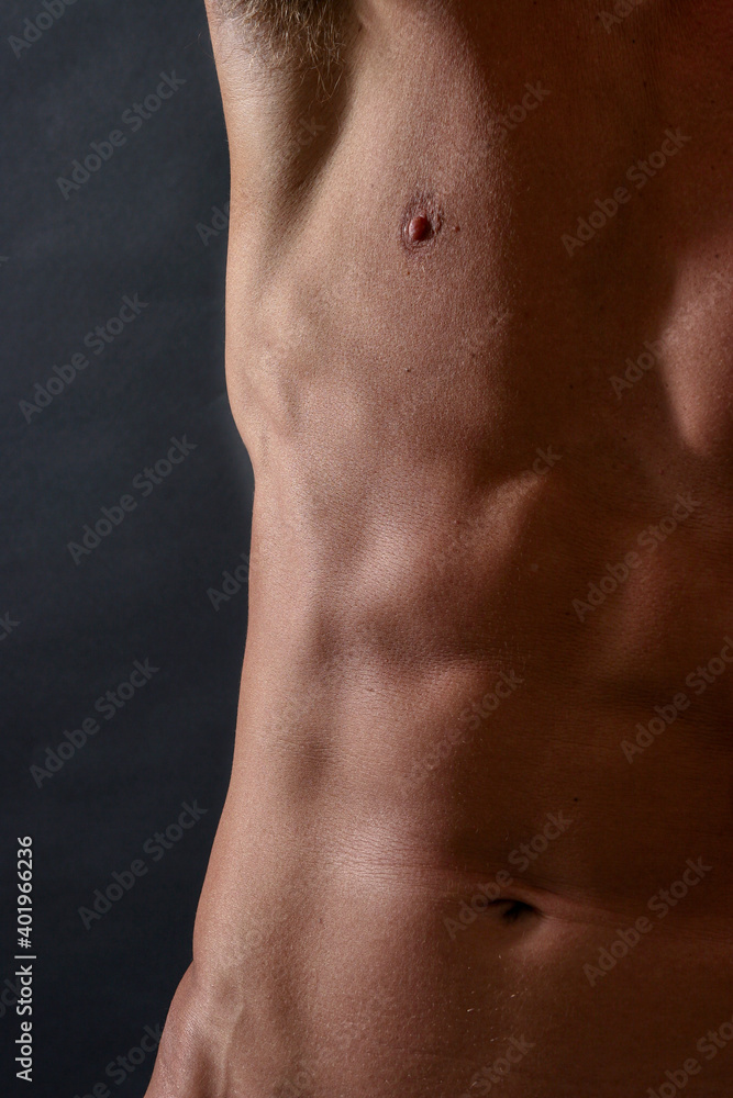 Fototapeta premium pectoraux