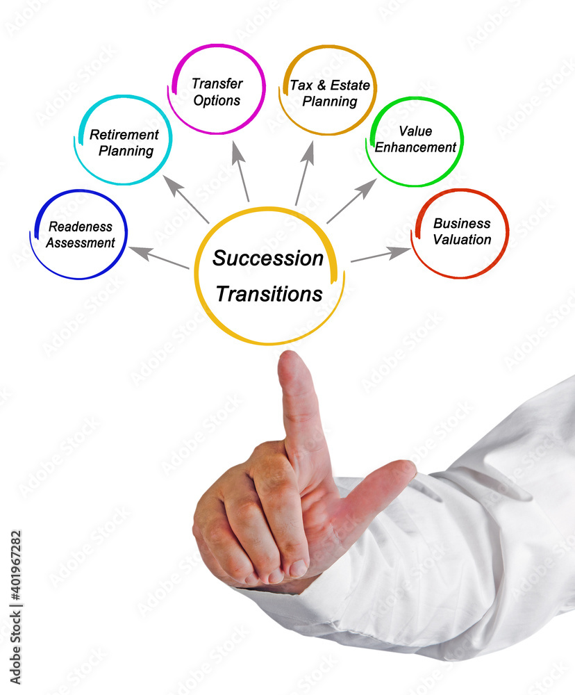 Five Components of Succession Transitions Five Components of Succession Transitions
