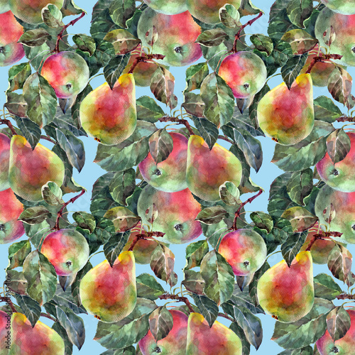  Seamless pattern watercolor fruit with leaves. Branch tree of pears with apples on blue background.  Beautiful pattern for decoration and design.