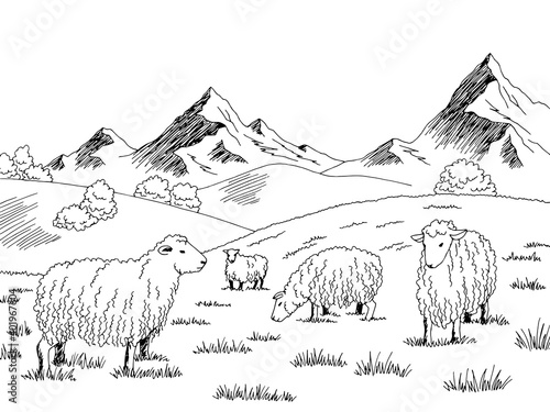 Sheep feeding grass in a meadow in the mountains graphic black white sketch illustration vector