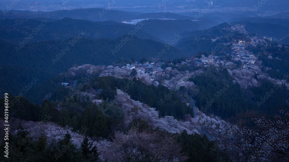 Fototapeta premium 奈良県 吉野山 花矢倉展望台 桜