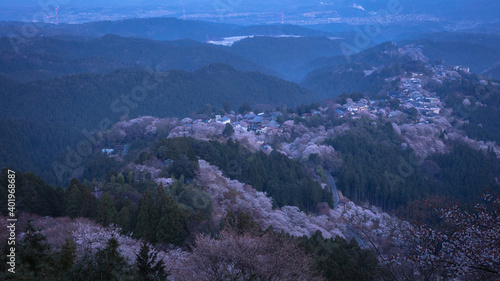 奈良県 吉野山 花矢倉展望台 桜 © TAKUYA ARAKI