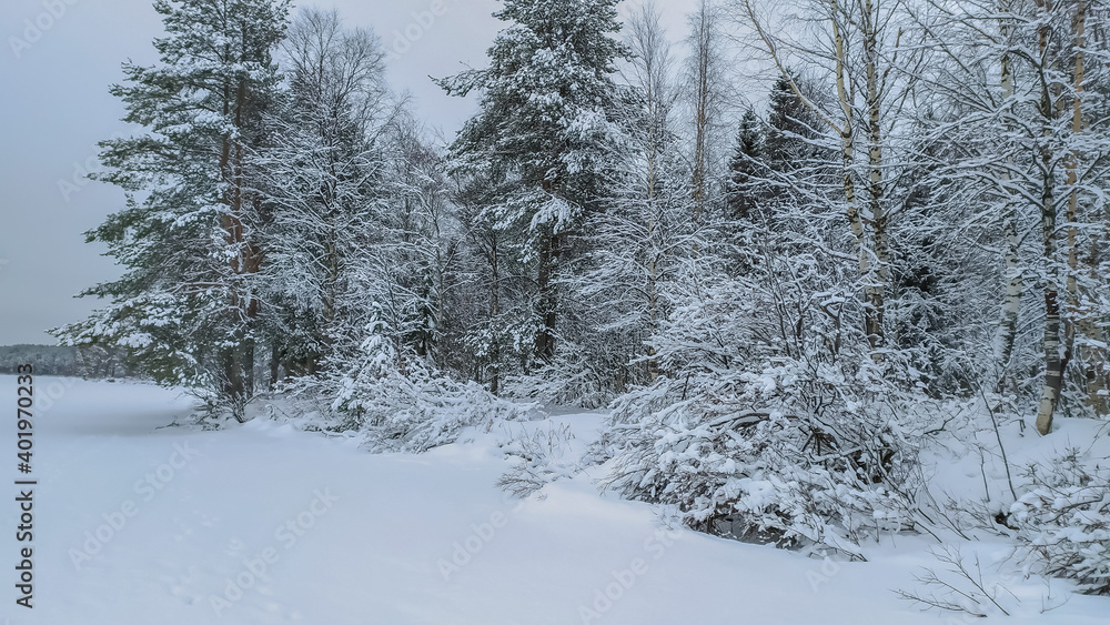Russia, Karelia, Kostomuksha. Here is a winter forest. December 27, 2020. Russia, Karelia, Kostomuksha. Here is a winter forest. December 27, 2020.