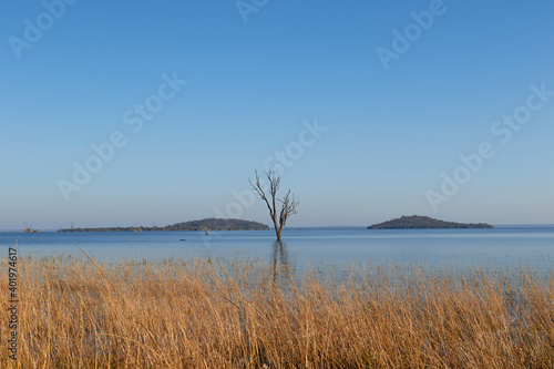Fototapeta Naklejka Na Ścianę i Meble -  A dead tree in the lake of Kafue National Park