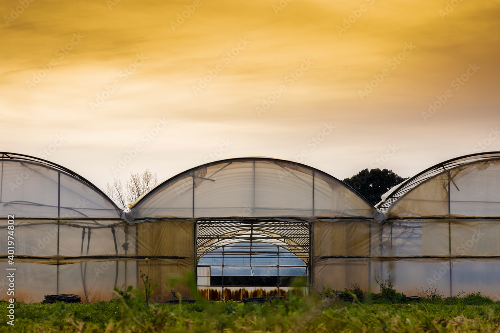 Greenhouse structure against a orange sunset sky. Food production background with empty copy space. Greenhouse structure against a orange sunset sky. Food production background with empty copy space.