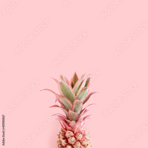 Pink pineapple with copy space. Trendy summertime composition.