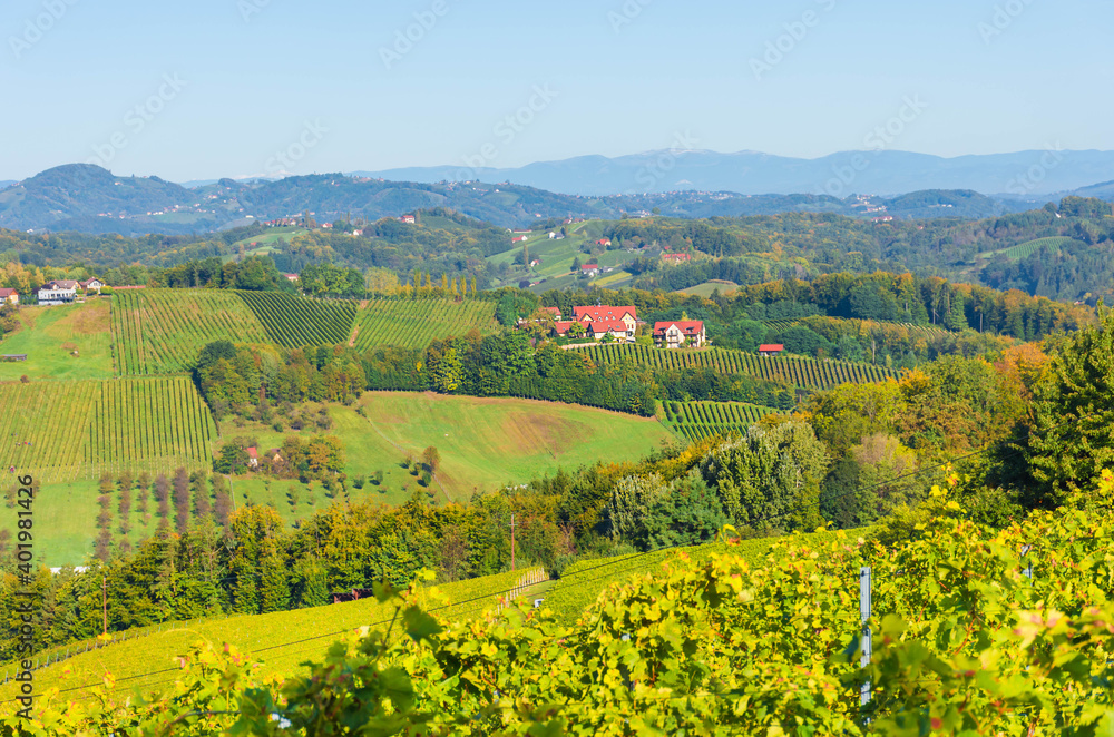 Vineyards along South Styrian Wine Road, a charming region on the border between Austria and Slovenia with green rolling hills, vineyards, picturesque villages and wine taverns