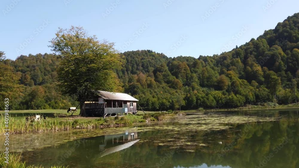 A photo of a forest near a lake which has leaves and a reflection on it. A photo of a forest near a lake which has leaves and a reflection on it.