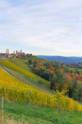 Autumn landscape with South Styria vineyards  known as Austrian Tuscany  a charming region on the border between Austria and Slovenia with rolling hills  picturesque villages and wine taverns