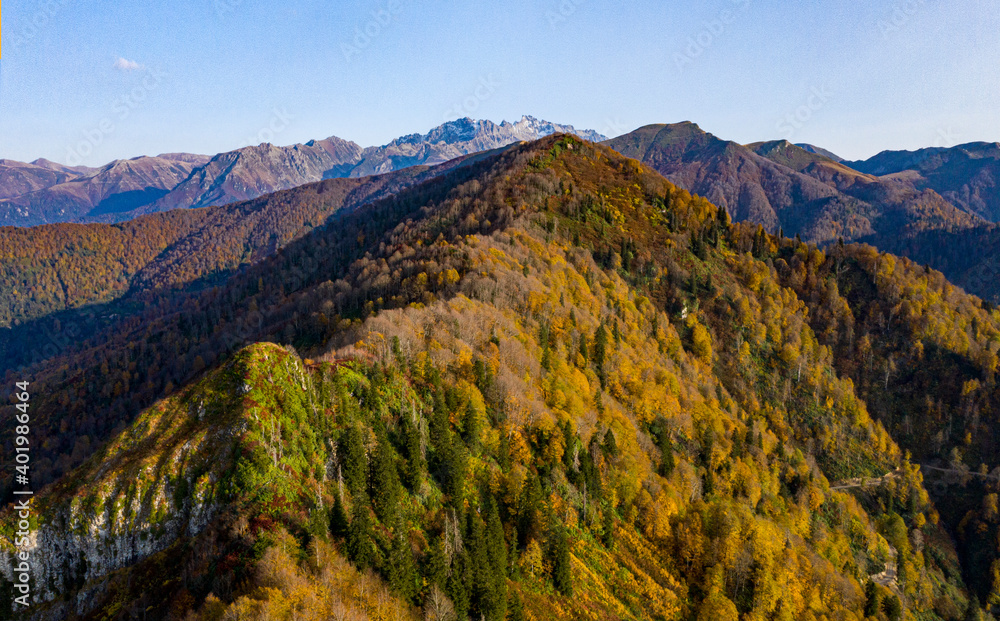 Turkey's green landscape filled with natural beauties which is in Artvin/Turkey. 