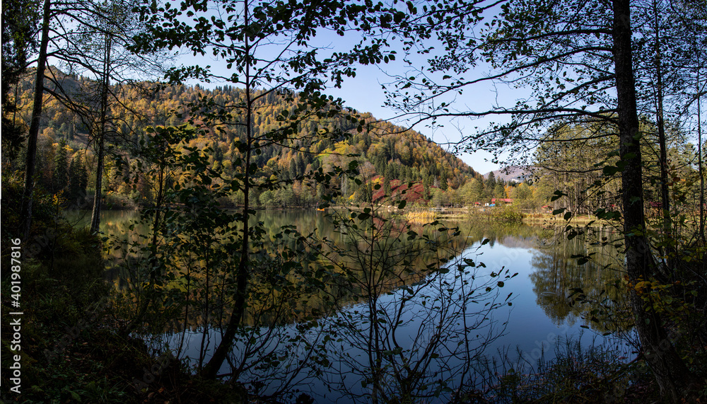 Obraz premium The view that effects us with the fascinating view of the lake and green nature. As additional information, the name of this lake is Karagol and it is located in Artvin/Turkey