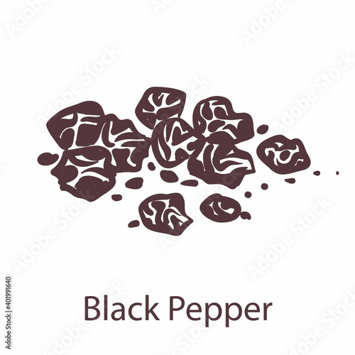 Black pepper. Hand drawn fragrant bitter hot seeds, sketch for labels and packages in engraving style. Aromatherapy antioxidant spice cooking symbol for menus vector single element