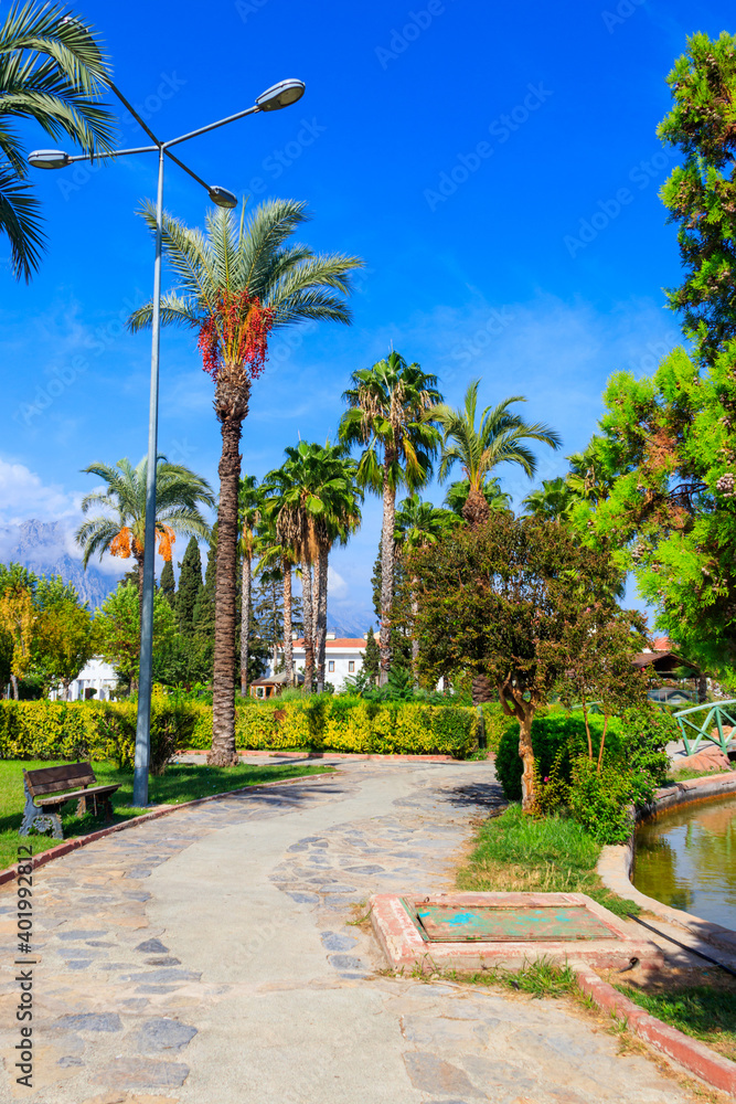 Pedestrian walkway and palm trees in a city park. Tropical landscape Pedestrian walkway and palm trees in a city park. Tropical landscape
