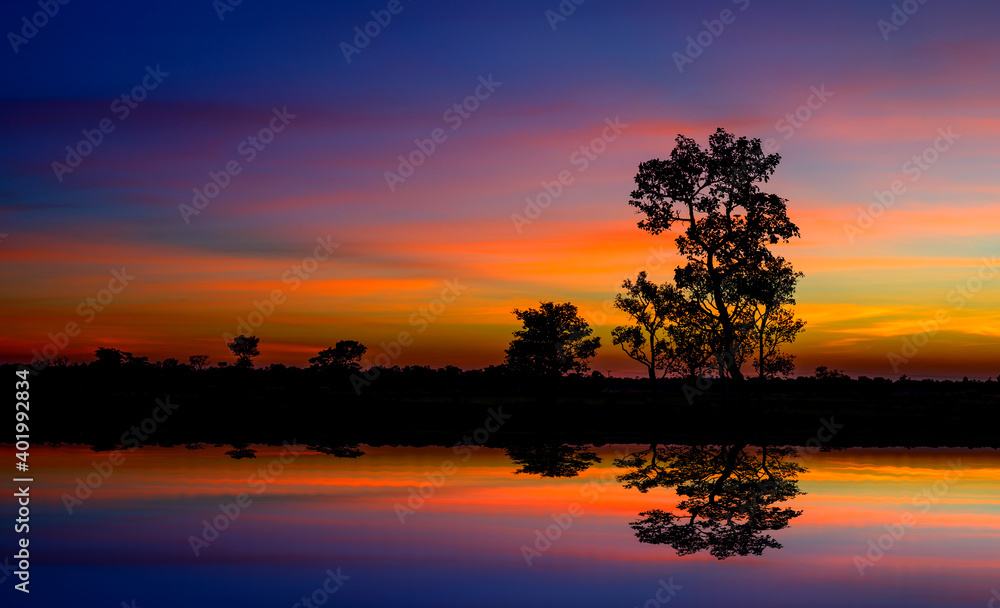 Panorama silhouette tree in asia with sunset.Tree silhouetted against a setting sun reflection on water.