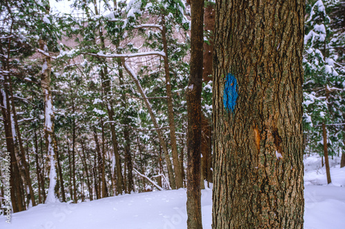 Snowy hiking trail in the winter photo