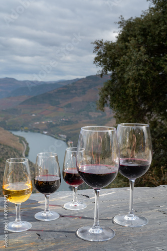 Tasting of Portuguese fortified port wine and dry red wine, produced in Douro Valley with Douro river and colorful terraced vineyards on background in autumn, Portugal