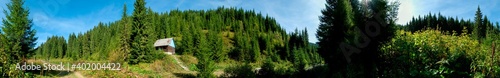 panorama of a hut on a background of forest in the mountains with a clear blue sky