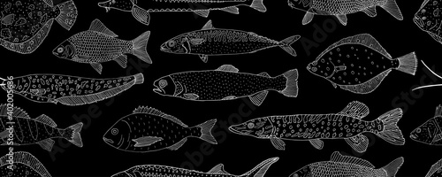 Seamless pattern of school fish, hand drawn. White contour of sea and river fish on black background. Vector illustration.