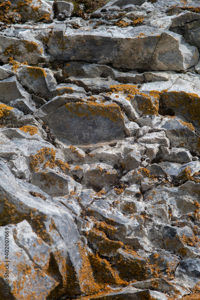 stones with orange moss. Rock texture stones with orange moss. Rock texture
