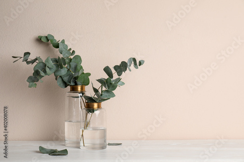 Vases with beautiful eucalyptus branches on white wooden table near beige wall. Space for text photo