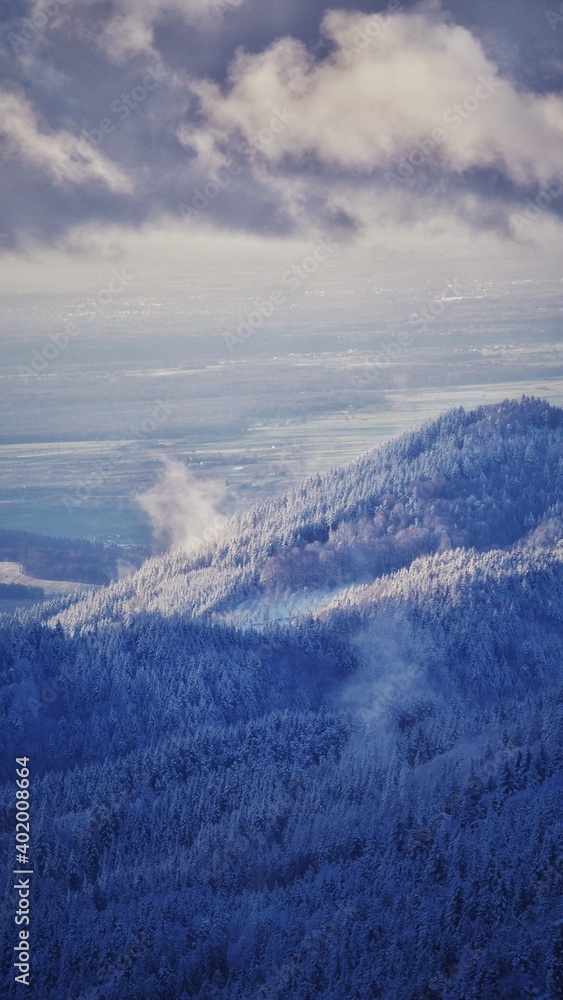 Schneelandschaft in den Bergen des Schwarzwaldes mit Tannen
