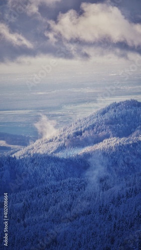 Schneelandschaft in den Bergen des Schwarzwaldes mit Tannen