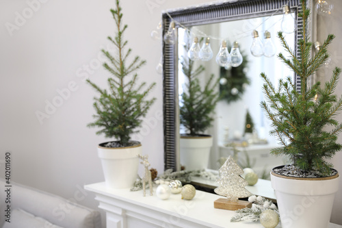 Little fir trees and Christmas decorations on shelf near mirror in room. Stylish interior design