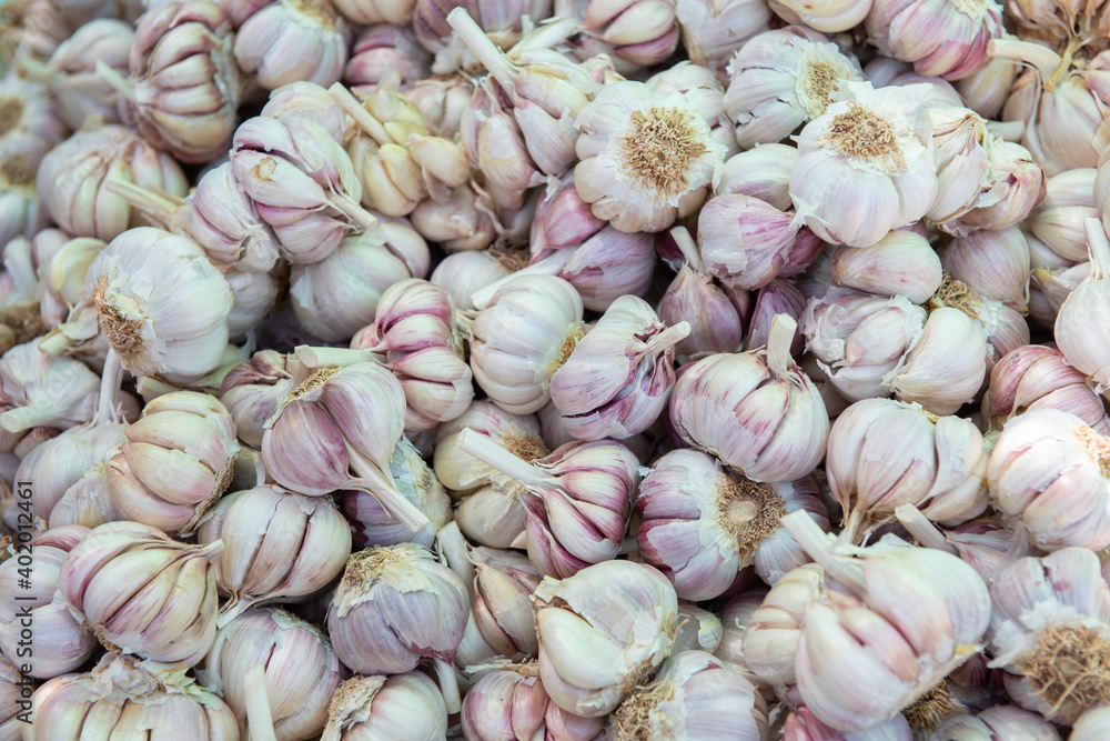 Garlic solds on outdoor market. Farm seasonal spanish fruits and vegetables stock