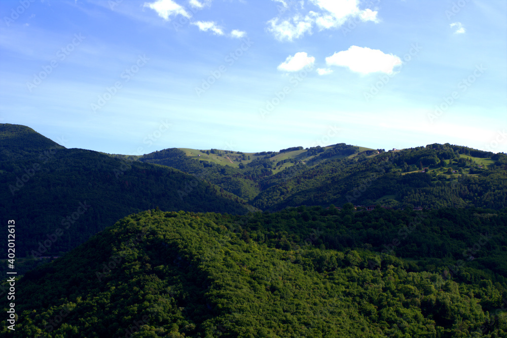 landscape in the summer,mountains, green, forest, panorama,view,landscape,green,