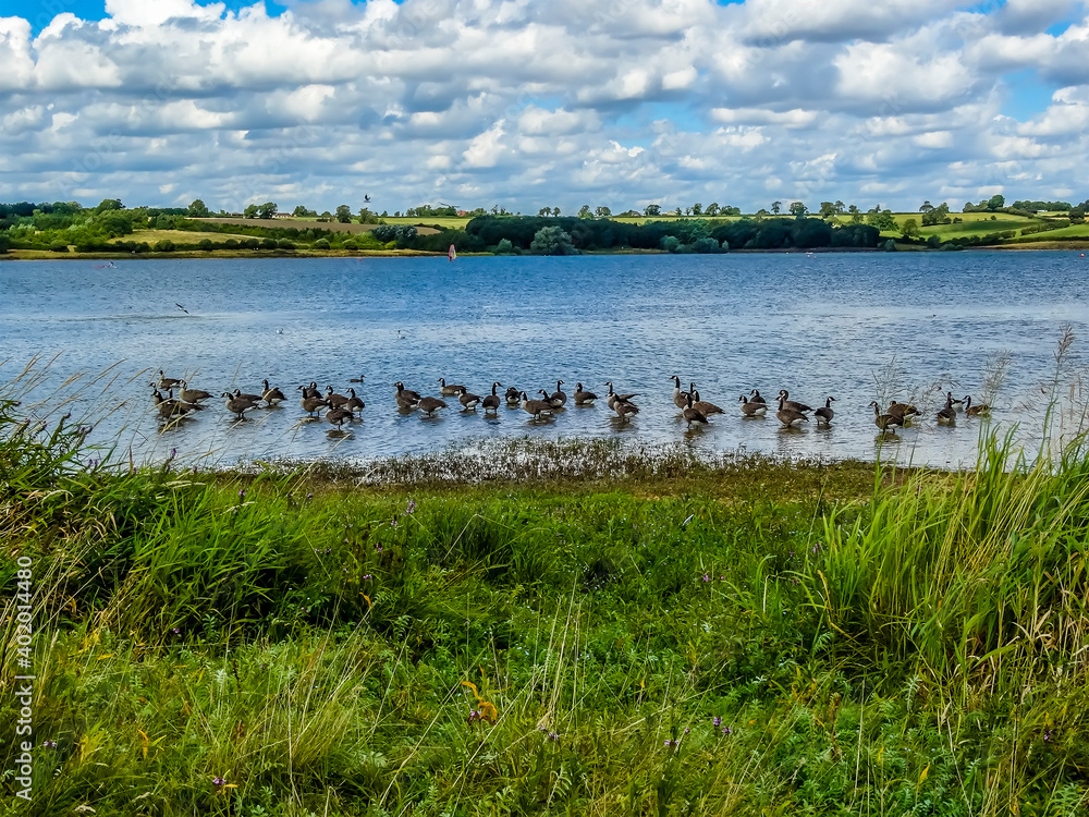 A view across the northern shore of Pitsford Reservoir, UK on a summers day