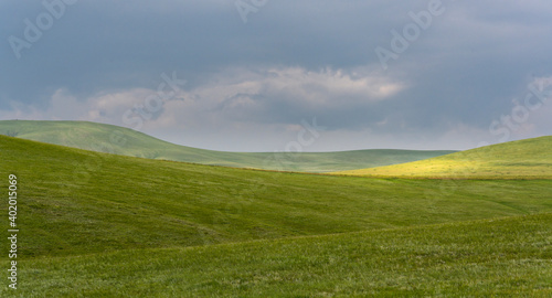 Steppe Grass Fields Mongolia