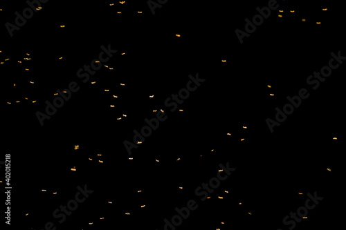 Mosquitoes on the dark background