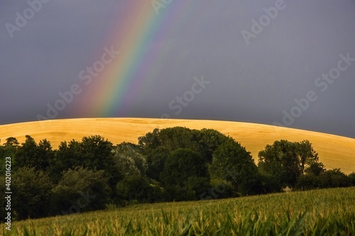 Rainbow over bright yellow hill.