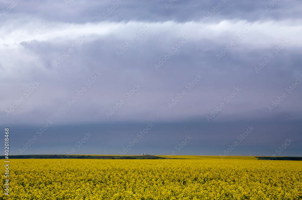 Obraz premium Prairie Storm Clouds Canada