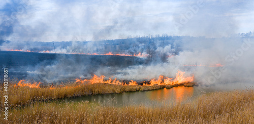 Burning dry grass in the meadow top view.