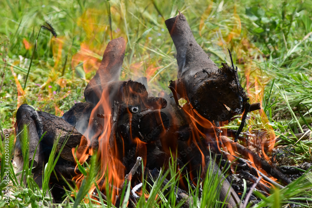 wood and fire for the barbeque