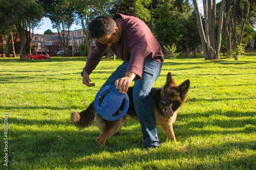modelo de adiestramiento para pastor aleman