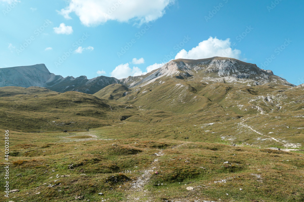 Fototapeta premium A narrow pathway along a high plateau in Italian Dolomites. Stony landscape, with a bit of green grass. High mountain chains in the back. Desolated and remote landscape. Natural habitat. A few clouds